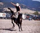 Родео - всадника в седле Bronc конкуренции, езда на диких лошадей